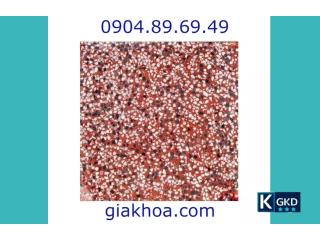 Gạch Terrazzo mặt trơn